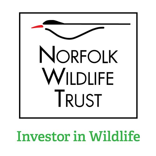 norfolk wildlife trust